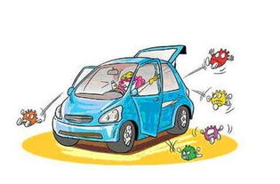 云南云瑞 专业护航，铸就机动车修理与维护的卓越品质